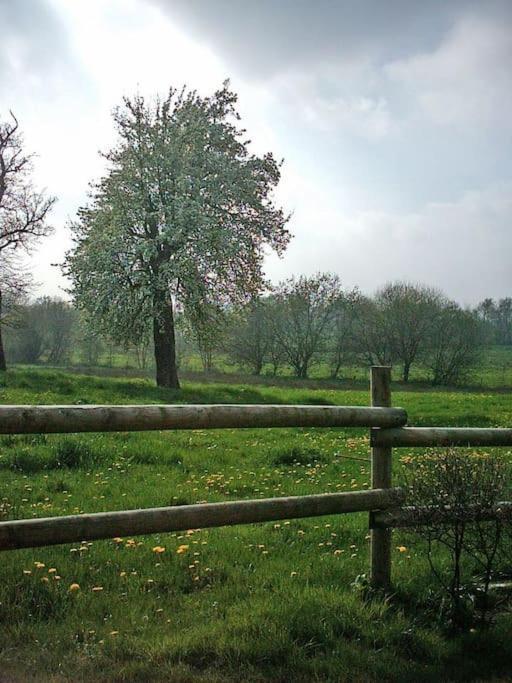 Gite : La Cochetiere : Ancienne Ferme 18Eme Villa Le Grais Exterior foto